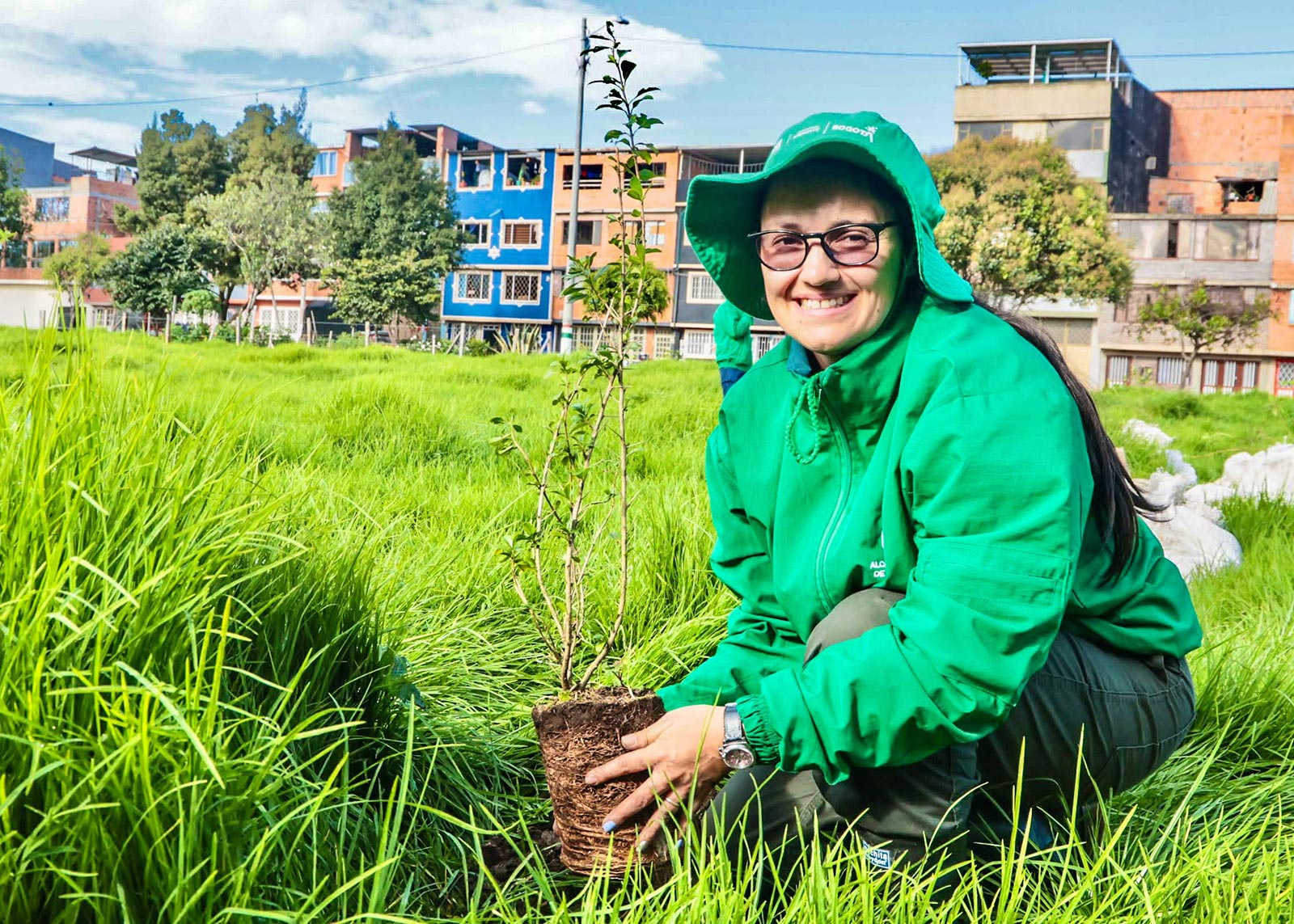 Plantaciones humedal Juan Amarillo