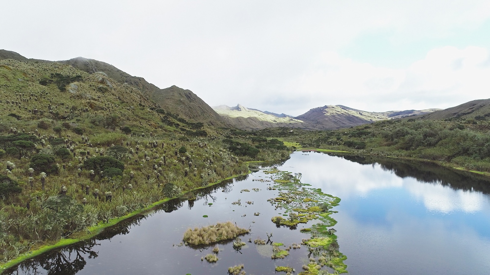 Cerramos con éxito la convocatoria pública para el Programa de Pago por Servicios Ambientales Hídricos en Bogotá