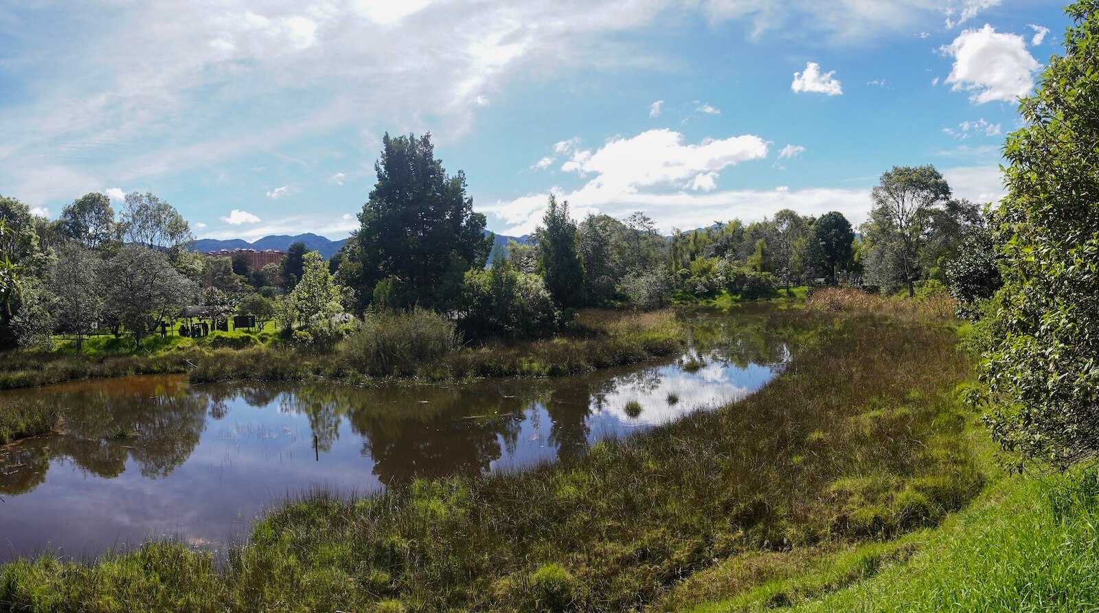 Bogotá celebra el Mes de los Humedales con más de 30 actividades gratuitas para toda la ciudadanía