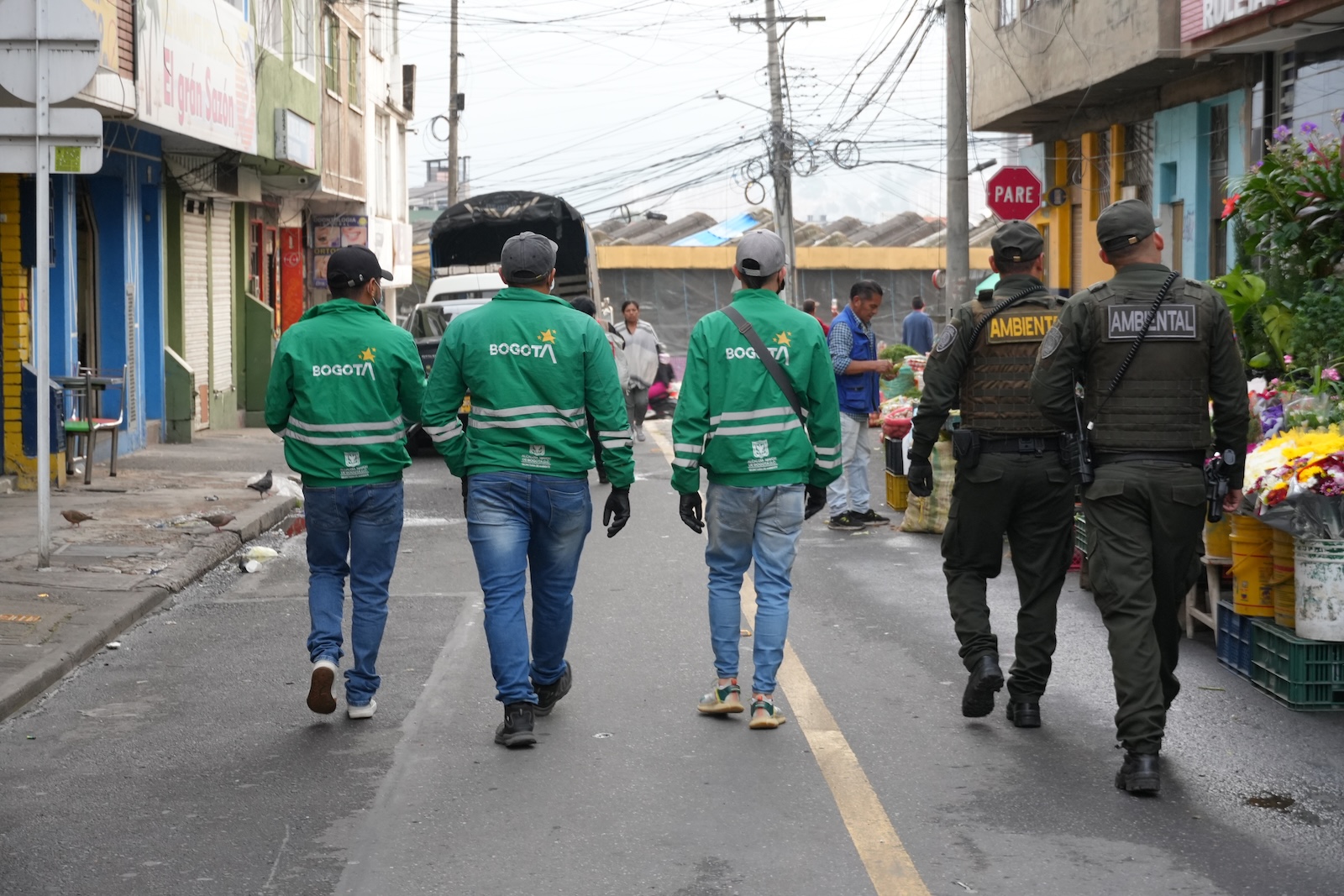 Bogotá recupera 196,8 kilos de palma de vino comercializados ilegalmente durante  el Domingo de Ramos